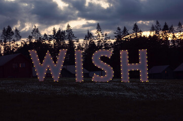What do you wish for?