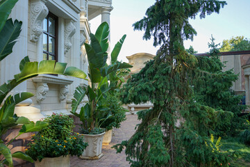 beautiful elements of urban park architecture with exotic plants