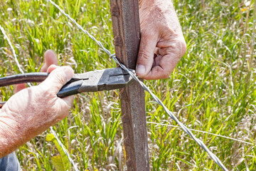 The hands of a person placing a wire clip around a fence post with a fencing tool. 