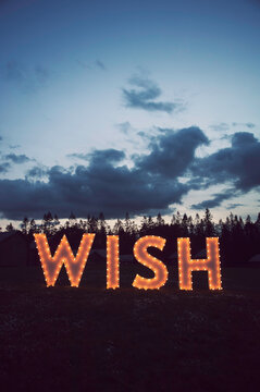 What do you wish for?