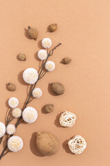 Autumn herbarium flowers. Fall  minimal concept.  Flat lay brown beige colours trend