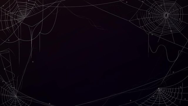 Scary Halloween with spider web. spooky spider web for horror concept
