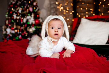 Newborn baby in a rabbit costume lies on the red blanket near the festive Christmas tree