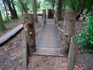 wooden bridge in the woods