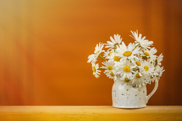 Bouquet of chamomile (Matricaria)  on an orange background. Like postcard texture, background, concept and idea.