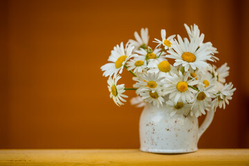 Bouquet of chamomile (Matricaria)  on an orange background. Like postcard texture, background, concept and idea.
