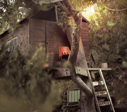 Wooden Tree House With Plastic Orange Chair And Rickety Ladder