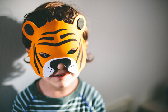 Portrait of a child with tiger mask..