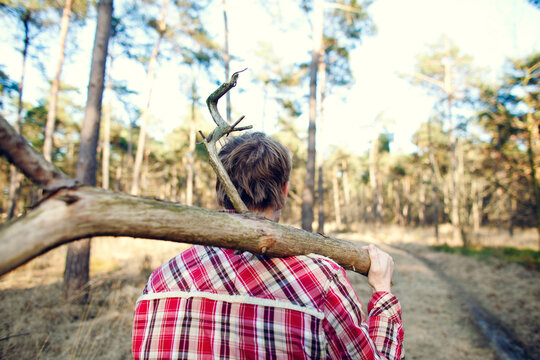 Young man collecting firewood in a forest
