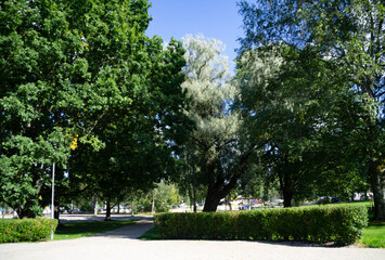 park in the city