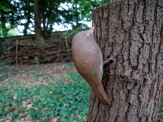 wooden bird on a tree
