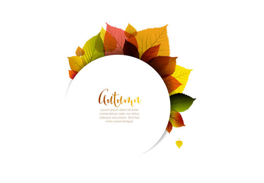 Autumn Leaves Digital Flyer Tag Layout