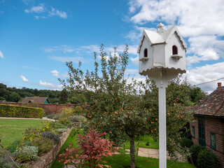 bird nest birdhouse in the garden