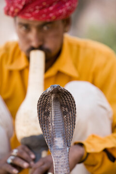 Snake Charmer. India