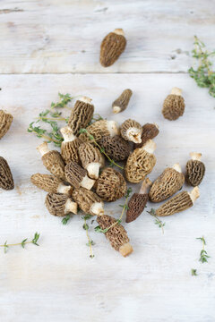 Fresh morels with thyme