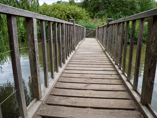 wooden bridge in the forest