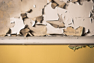 paint peels in sheets from wall