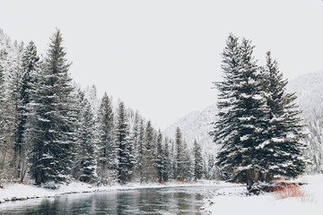 Mountain Stream in Montana