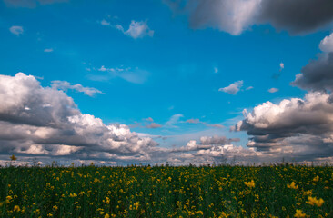 green grass at  storm clouds .