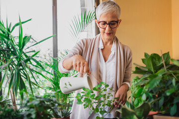 Woman Watering Potted Flowers