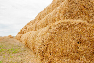 Pyramid of tightly twisted stacks of golden hay at the end of summer with place for copy space. Agriculture concept