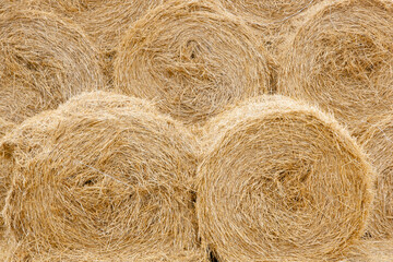 Hay and straw bales in the end of summer. Agriculture concept