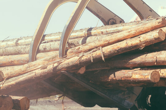 Closeup of a wheeled log front loader carrying tree trunks