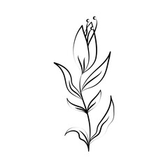 Fototapeta premium minimalist tattoo flower nature botanical line art herb and leaves