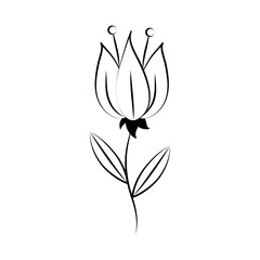 minimalist tattoo single flower line art herb and leaves