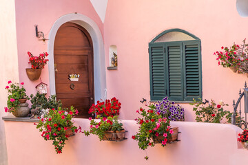 flowers in pink house