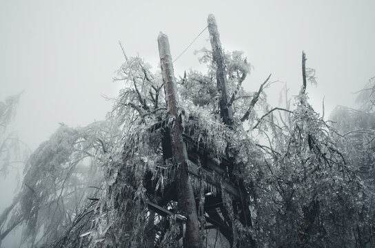 winter wonderland with ice covering everything
