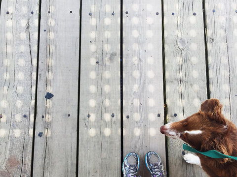 A woman and her dog pause while excersizing outside