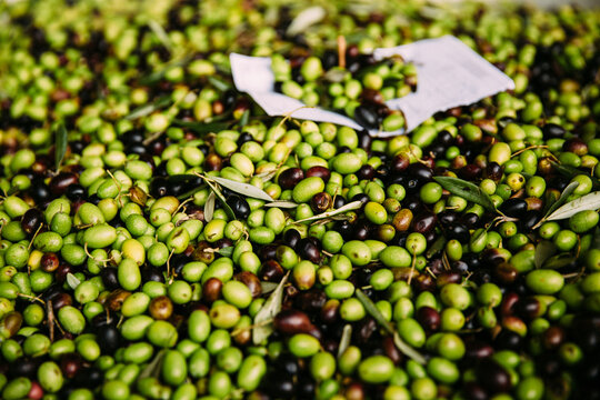 「Olive」の画像 - 1,184,067 件の Stock 写真、ベクターおよびビデオ | Adobe Stock