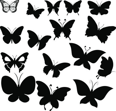 set of black outlines of flying butterflies