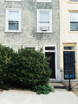 Overgrown shrub hides windows of rowhome