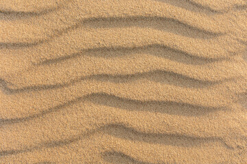 .Wavy sea sand background