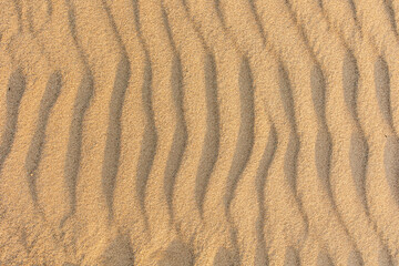 .Wavy sea sand background