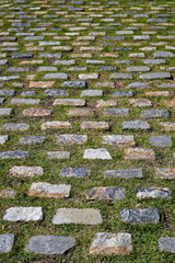 Cobblestone background with grass