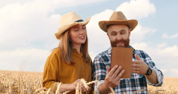 Portrait of joyful Caucasian handsome man and beautiful woman standing outdoors on farm and videochatting on device. Male and female in hats talking on video call on tablet in field. Talk concept