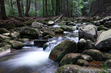 small waterfall in the forest