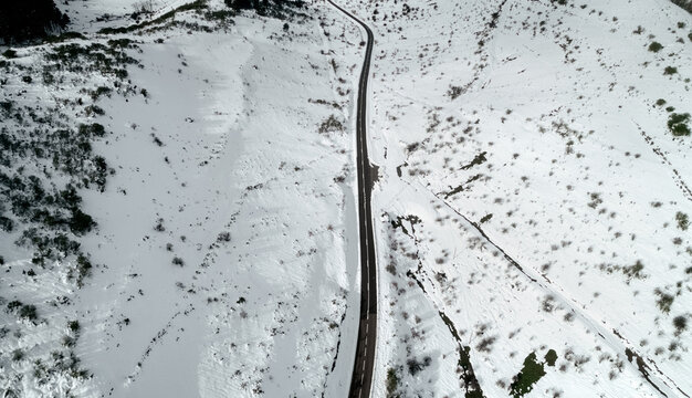 Winter landscape