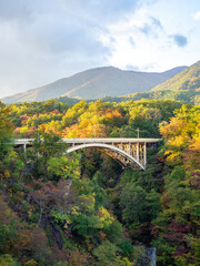 秋の橋