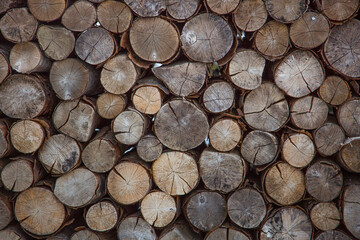 a pile of tree logs background