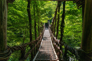 Fototapeta na wymiar A historic wooden bridge in Miyoshi, Tokushima, Japan