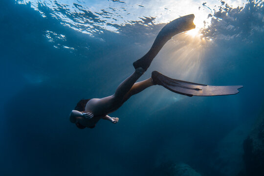 Sunrise Dive