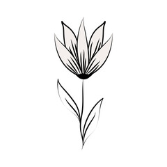 minimalist tattoo flower herbal leaves plant line art