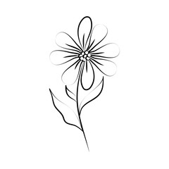 minimalist tattoo flower natural line art herb and leaves