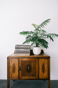 Vintage Vinyl Records And Plant On Antique Cabinet