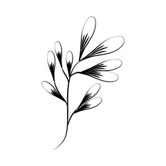 minimalist tattoo herbal and leaves line art