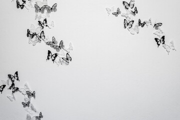 butterfly stickers on the wall